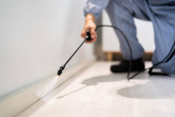 Licensed Mosquito Control service in Hays, NC - Show Me Pest Control
