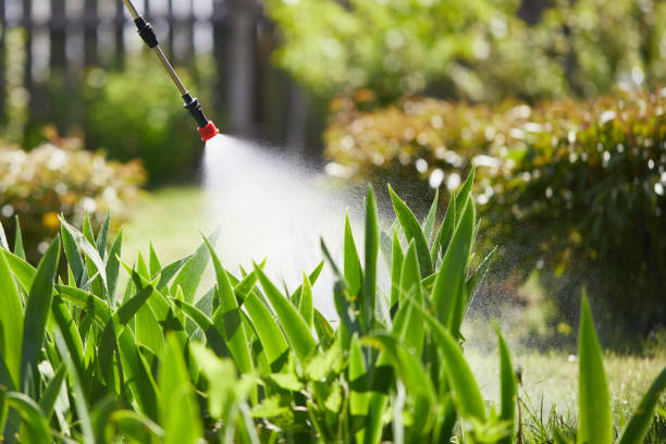 24/7 Emergency Mosquito Control experts in Hays, NC