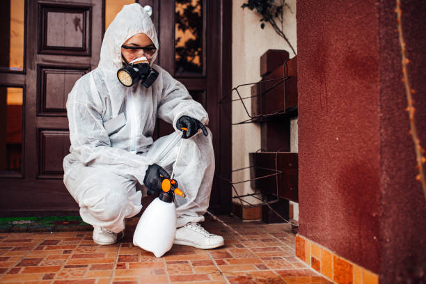 Reliable Mosquito Control contractor in Hays, NC by Show Me Pest Control